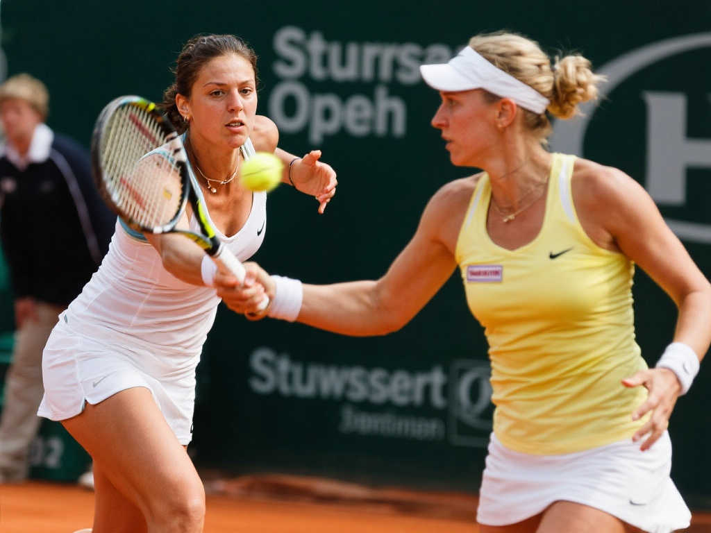 开云体育官网介绍