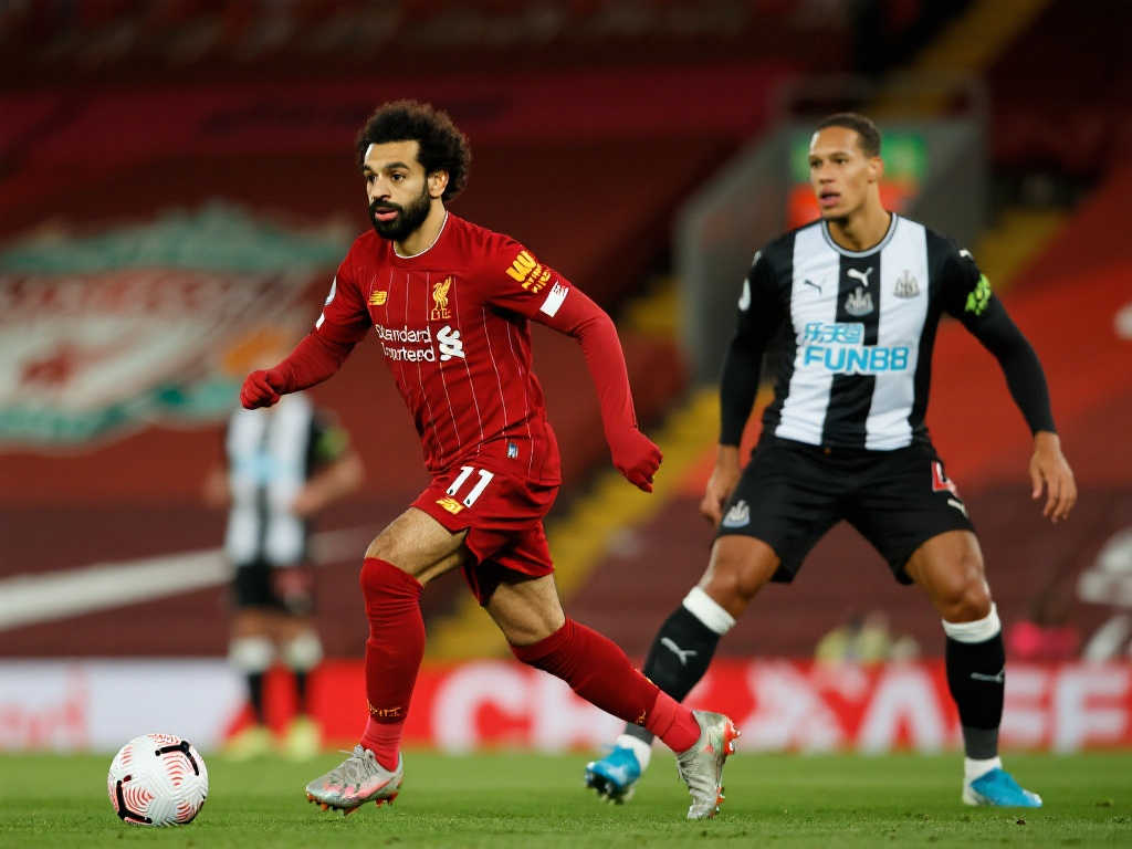 开云体育官网介绍